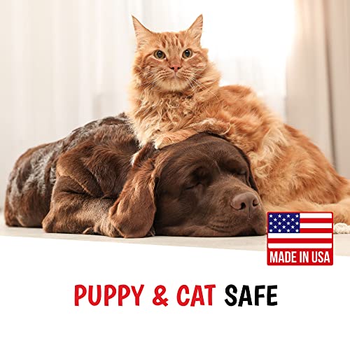 Warren London - Magic Bright Dog Shampoo, Whitening Shampoo For White Dogs & Lighter Dog Coats, Grooming Supplies Are Puppy And Cat Safe, Cherry Blossom Scent, 128 Ounce, Made In Usa #TOP6