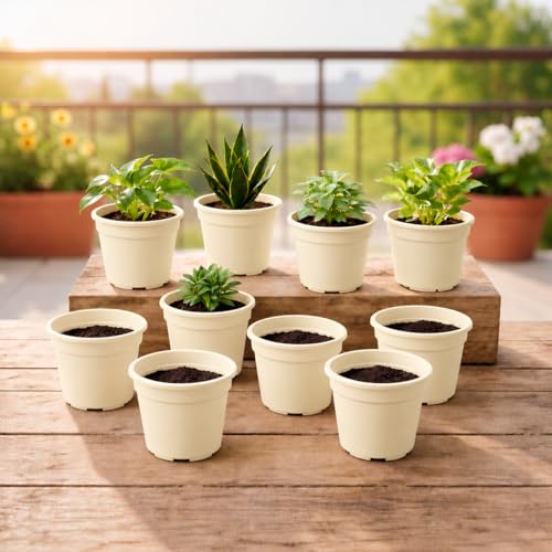Image of Indian Gardens - 4 inch Indoor (Pack of 10) Plastic Small Colour pots | Plastic Plant Pot for Terrace Garden (Ivory)