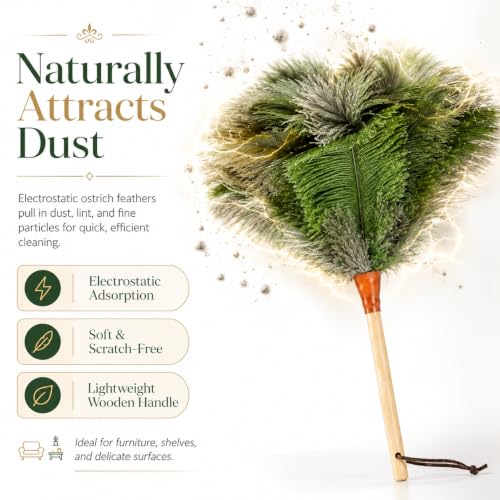 Image of 16inch Natural Good Ostrich Feather Duster with Bamboo Handle, Electrostatic Dust Remove for Ceiling,Fans,Bookshelves, Sofa, Windows, Fit for Home, Office and Cars Duster Green