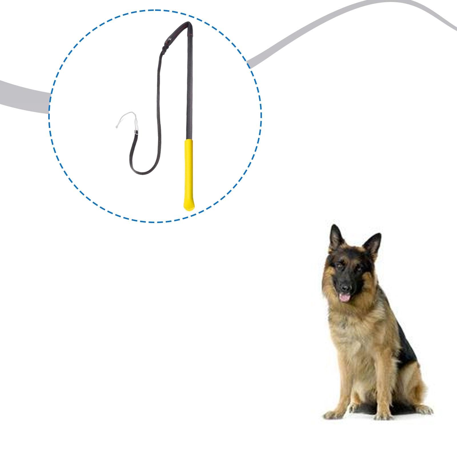 Frusta per addestramento Cani, Frusta per obbedienza, Portatile Resistente all'Usura, per disciplina, Strumento di addestramento comportamentale, Nero Giallo