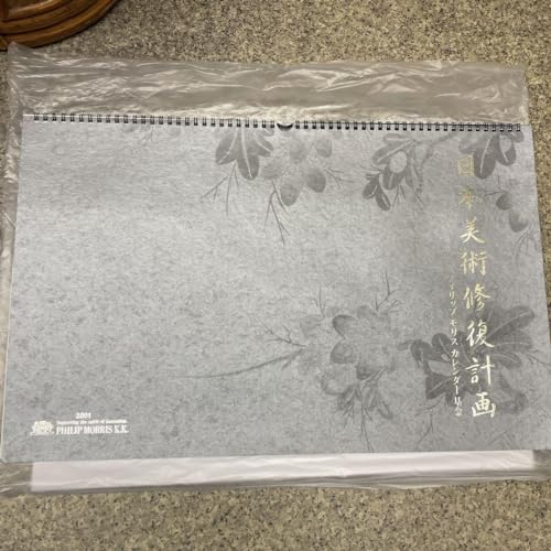 tBbvX Wp  J_[ {pCv 2001N