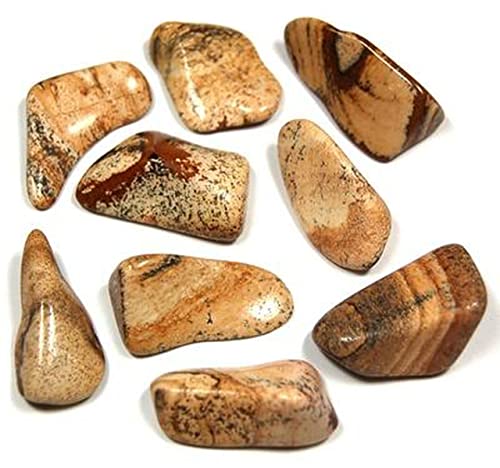 Pachamama Essentials Picture Jasper Tumbled - Healing Stone - Crystal Healing 20-25mm (5)