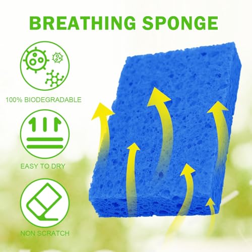 Image of YoleShy Sponge Kitchen Natural Cellulose Sponges 10 Pack Compressed Sponges for Cleaning Reusable Dish Sponge Kitchen Non-Scratch DIY