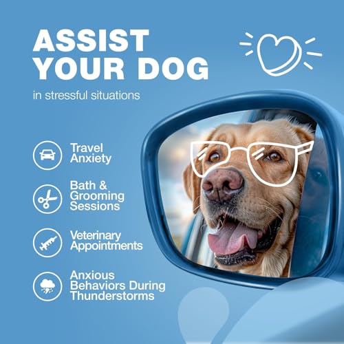 Chewia TP-DUCK-050724 Hemp Calming Chews For Dogs - Anxiety Relief For Dogs - Dog Calming Treats thumb #2