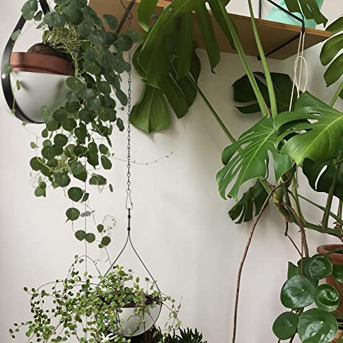 Hajia 2 Pack Waterdrop Shaped Modern Hanging Planter, Metal Plant Hanger For Indoor And Outdoor Plants, Black Hanging Plant Holder For Wall And Ceiling Decor.(No Plants Or Drainage Holes) #TOP4