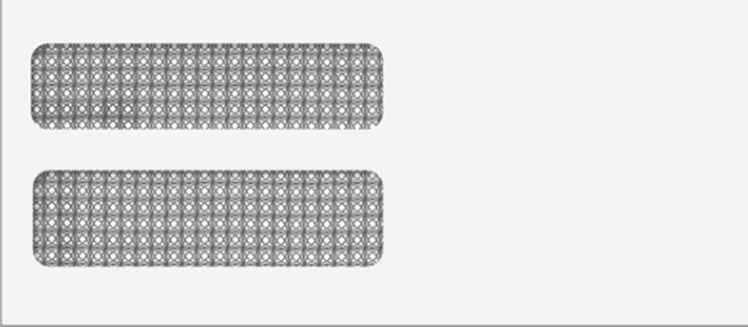 Security Lined Double Window Envelope - 8 7/8 x 3 7/8