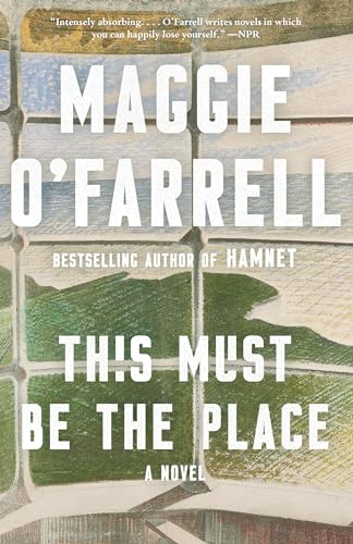 This Must Be the Place: A Novel (Vintage Contemporaries)