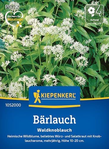 Kiepenkerl Bärlauchsamen Waldknoblauch 1052000 - Wildblume - Würz- und Salatkraut - Inhalt für 35 Pflanzen - Kräutersamen Samen Kräuter Saatgut