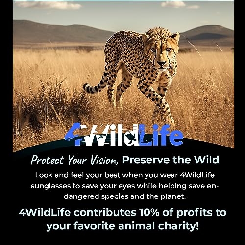 Image of Sleep ZM WildLife Themed Sunglasses to Save Animals