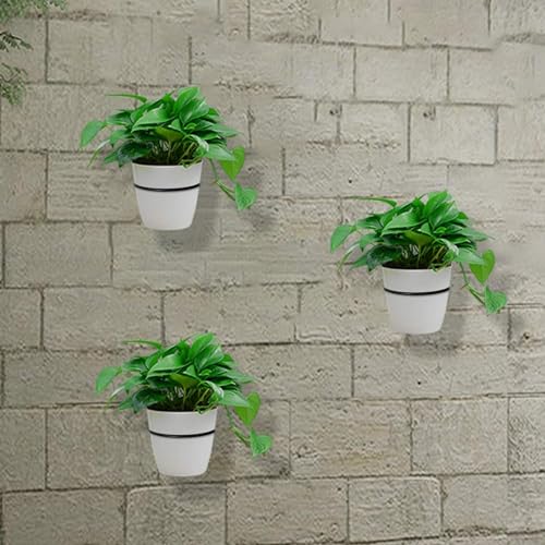 TORO Plant Holder Ring 8 Inch Wall Mounted, Flower Pot Hangers Metal Plant Stand Hanging Bracket Basket Hooks (Pack 06) (Black)