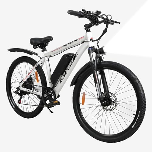BAOLUJIE Peak 1500W 28MPH Electric Bike for Adults with 540Wh