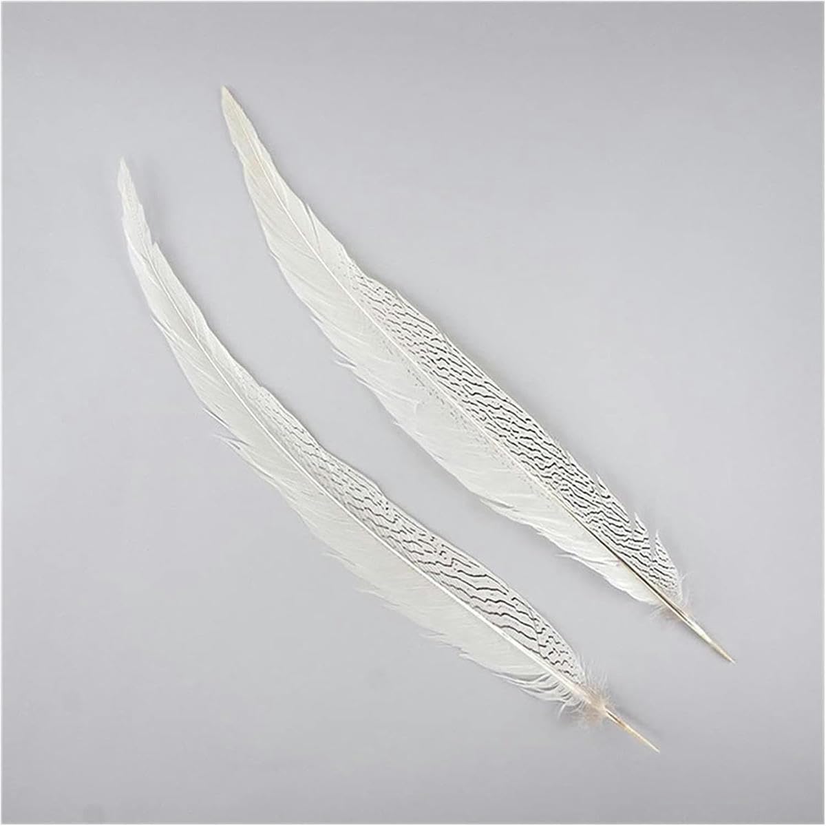 Piume, piume di coda di fagiano argentate 10-80 cm 4-32" piume di coda di fagiano argentate per artigianato decorazioni fai da te grandi piume lunghe bianche argentate piume piumaggio boa-10 pez