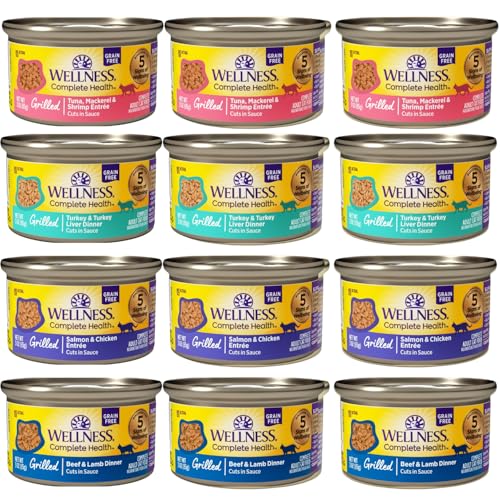 Wellness Complete Health Canned Wet Cat Food Natural, Protein-Rich Cat Food Grilled Cuts in Sauce- 12 Pack Cans Variety 4 Flavor - (Chicken,Beef, Tuna & Turkey Entrée Recipe) 3 Ounce Cans - image 1