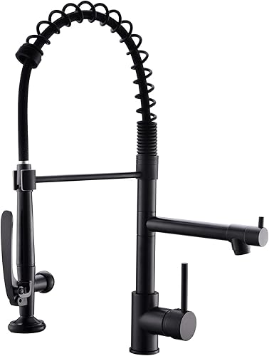 Fapully - Grifo de cocina negro, grifo de fregadero de cocina con rociador comercial extraíble