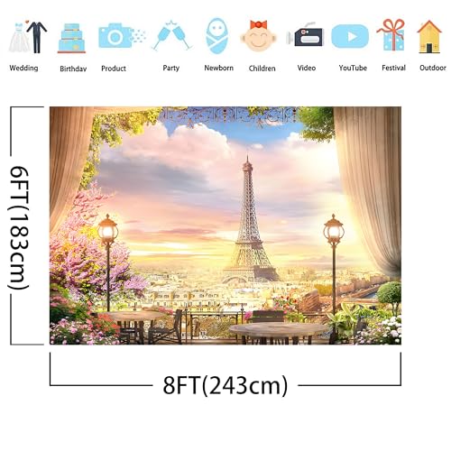 Fondo fotográfico Ciudad de París 8x6 ft miniatura 2
