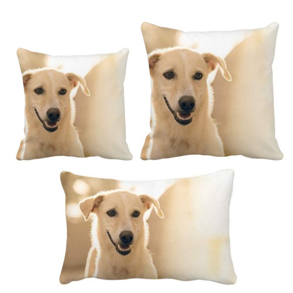 Housse de coussin animaux blanc sourire pour décorer le salon et le canapé