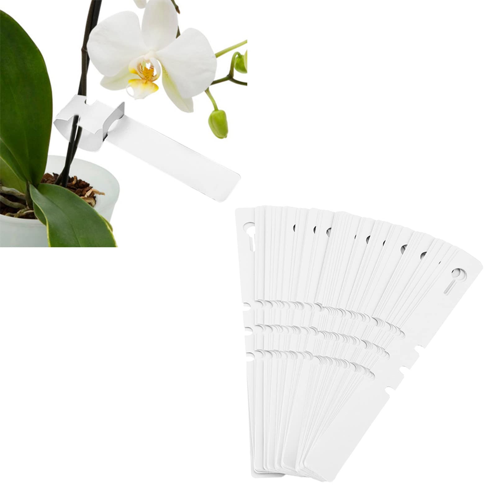 Étiquettes de plantes en plastique imperméables Étiquettes de jardin de pépinière Usine Étiquettes de plantes en plastique imperméables Étiquettes de jardin de pépinière Usine