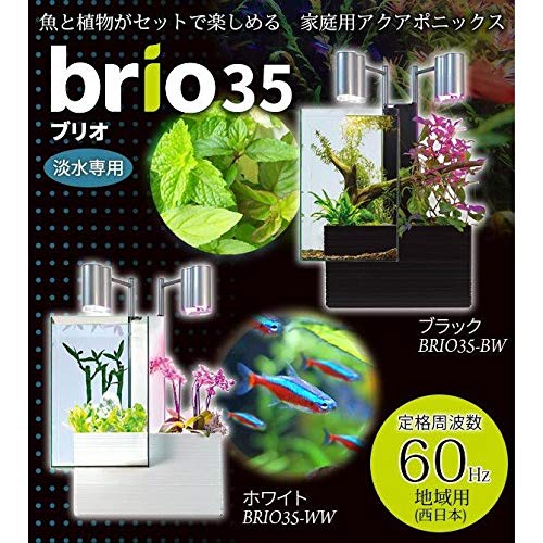 brio 水槽　アクアポニックス Amazon | 魚と植物がセットで楽しめる 家庭用アクアポニックス brio35
