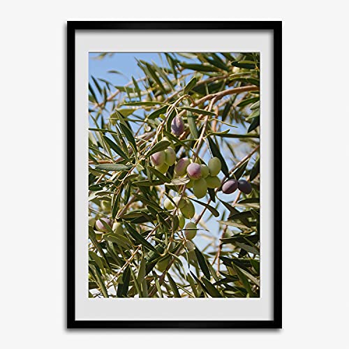 Affiche moderne Olives sur l'arbre Tulup cadre en bois pour sublimer un mur