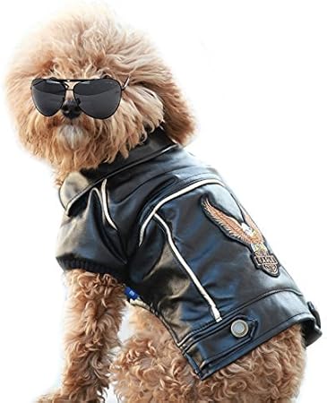 dog motorcycle jacket