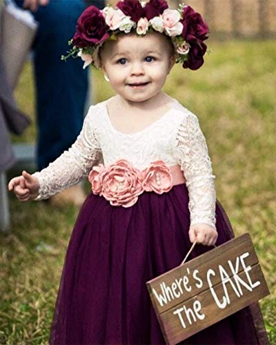 Image of Topmaker Flower Girl Dress for Toddler Baby Girls,Lace Tulle Dress for Wedding,Birthday Party,Photoshoot,Special Occasion