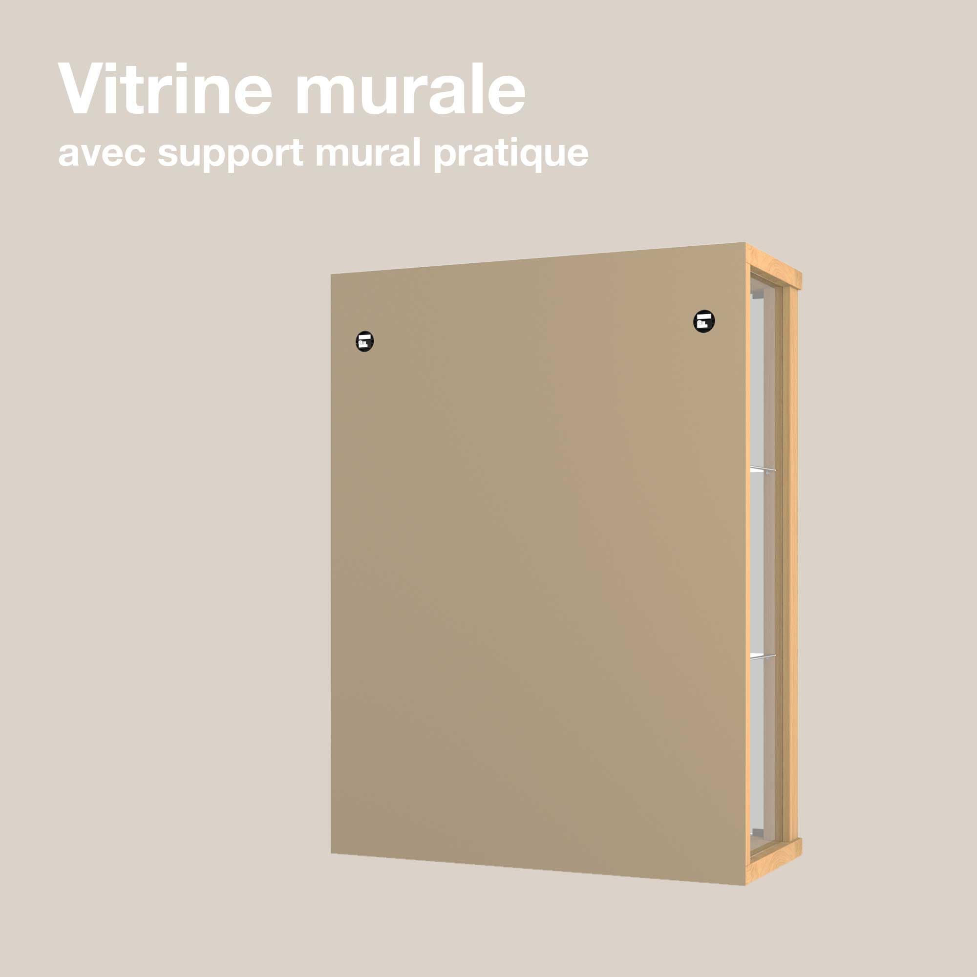 Vitrine Murale pour Collection (80x60x25cm) - Fabriqué en Allemagne - Petite Etagere Vitrine en Verre Suspendue avec 2 étagères réglables en Verre trempé (ESG), Miroir & LED in Hêtre