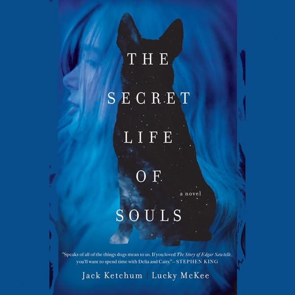 Cover art for The Secret Life of Souls