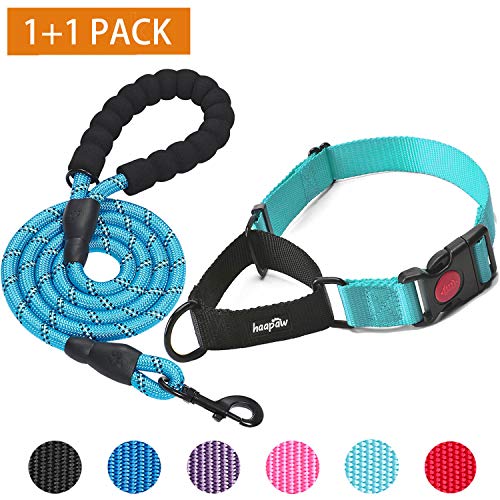 martingale leash