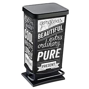 Rotho Paso Mülleimer 40l mit Pedal und Deckel, Kunststoff (PP) BPA-frei, hipster, 40l (35,3 x 29,5 x 67,6 cm)