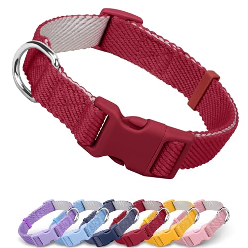 Collar para perro extra pequeño rojo Dynmeow