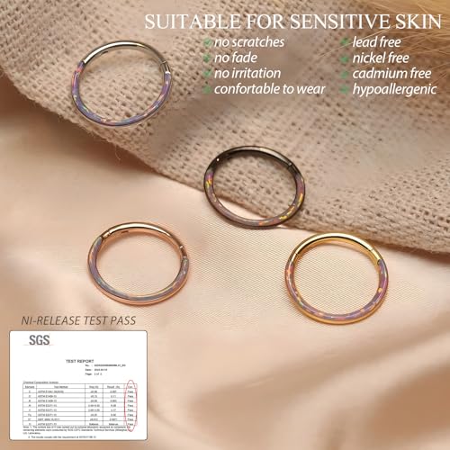Image of PEAKLINK 16G 18G 316L Stainless Steel CZ /OPAL Septum Piercing Septum Clicker Ring Hinged Nose Ring Daith Earrings Conch Piercing Jewelry Helix Cartilage Tragus Lobe Belly Hoop Earring