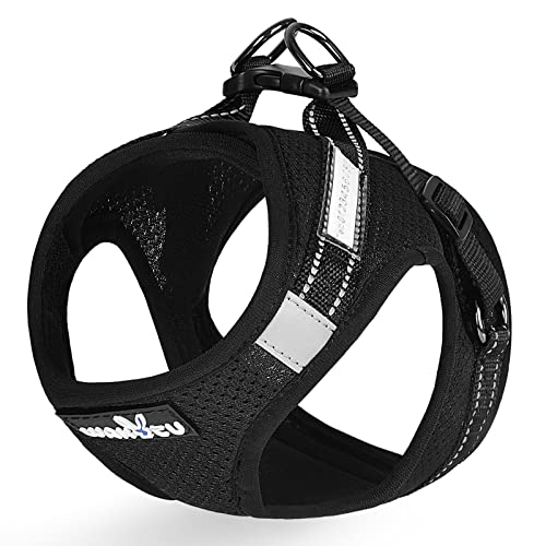 Wakytu Breathable Cat Harness With Phone Label, Step-In Adjustable Cat Vest Harness, Reflective Dog Vest Harness For Walking, All-Weather Mesh Pet Harness Fit Small Cats Dogs, S Size #TOP7