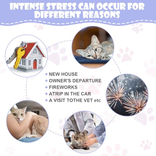 Aomig Cat Calming Spray, Cat Comfort Calming Spray Anxiety Relief Pheromone Spray for Cats, Spray for Cats Cat Calming Collar, Pets Calm Emotions Prevent Stress Reduce Pet Noise Spray(60ml) - Image 6