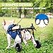 Pet Wheelchair Dog Leg Brace and Hip Support， Wheelchair for Back Legs，Adjustable Pet Cart，Assist a paralyzed pet get Back on its feet，Support Leg Brace and Hip (Extra Small)
