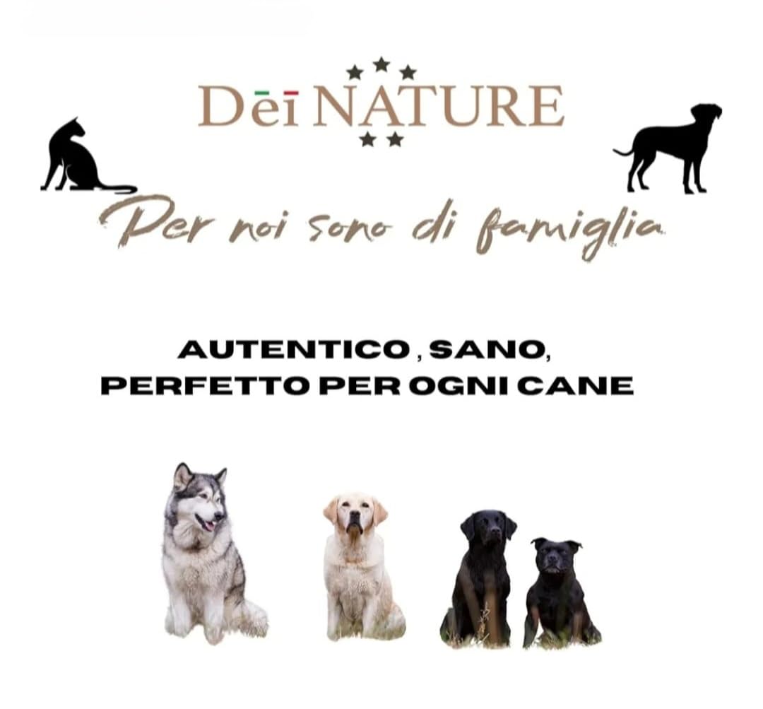 Auricolari di Maiale Essiccate per Cani, confezione da 1 kg,Snack Naturale adatto Dieta BARF