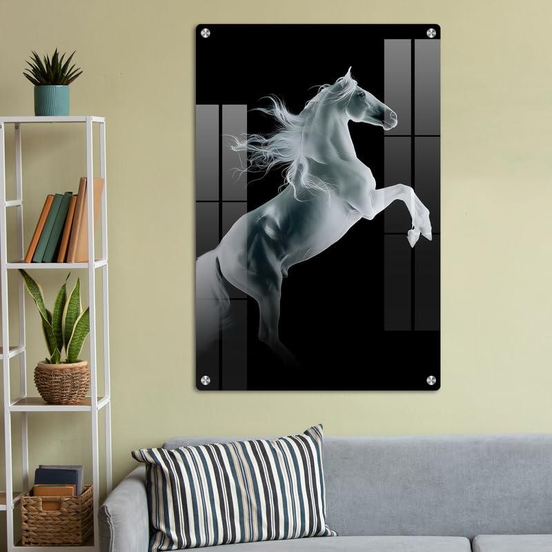 Image of FIVE KRAFT Single White Horse High-Resolution Premium Acrylic Wall Art (Size:18X12Inches 5Mm)