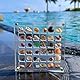 Acrylic Magnetic Seashell Display Box, 36 Gitter Magnetische Muschel-Display-Box, Transparent Acrylic Seashell Storage Box Seashell Diamond Gemstone Beads Storage Display Organizer Box