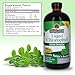 Nature's Answer Liquid Chlorophyll, 100 mg, 16 fl oz (480 ml)