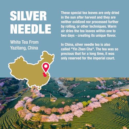 Image of Tiesta Tea Silver Needle White Tea - Premium Loose Leaf, Single-Origin from China | Pure Unblended Low-Caffeine Tea | Hot or Cold Brew | 12oz Resealable Bulk Pouch | Brews 200 Cups