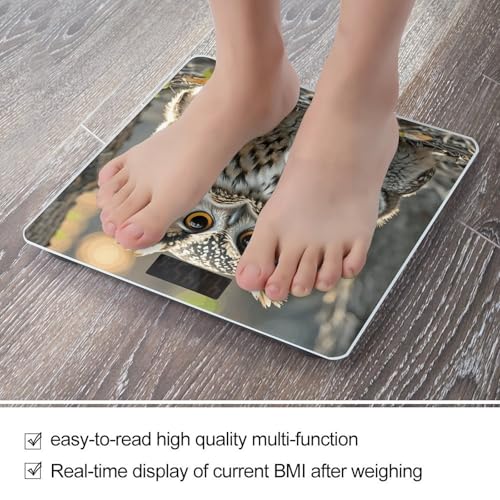 Báscula digital para baño con vidrio templado y pantalla LCD miniatura 5