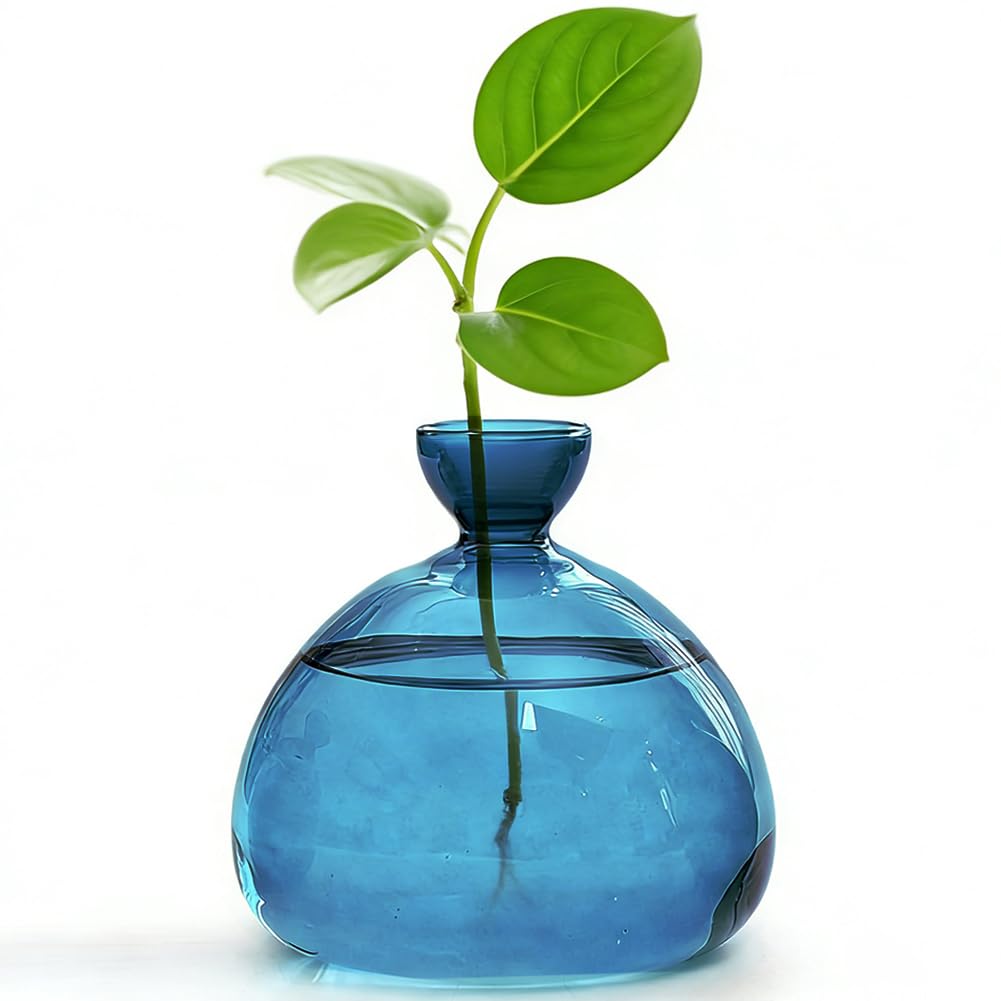 Vaso da coltivazione per avocado e castagne, in vetro avocado, vaso per fiori, vaso per fiori, avocado, vaso in vetro idroponico, per decorazione soggiorno, tavolo, tavolo da pranzo, germi (blu)