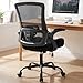 NEO CHAIR Office Chair High Back Desk Mesh Chair Comfy Computer Gaming Seat with Adjustable Ergonomic Lumbar Rolling Flip-up Armrests and Wheels (Black)