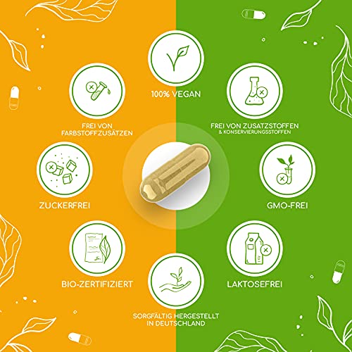 Raibu® Kurkuma Gerstengras Kapseln Bio (270 Kapseln x 700 mg) Vegan - Curcuma und Gerstengras Mix im Verhältnis 2:1… - Image 5