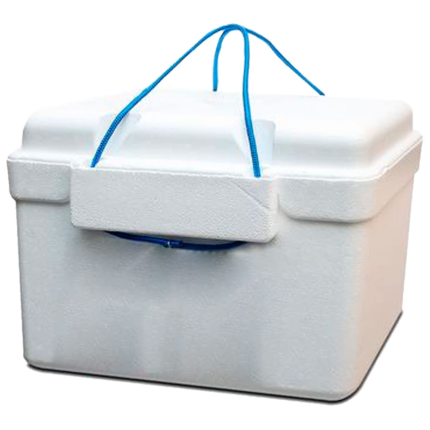 Tradineur - Nevera Porta alimento con asa - Fabricado en Poliestireno - Hermético, Resistente, Resistente a olores