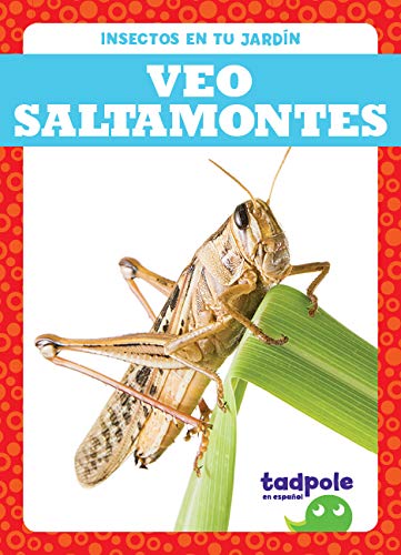Veo saltamontes (I See Grasshoppers) (Tadpole Books Spanish Edition) (Insectos en Tu Jardin (Backyard Bugs))