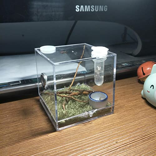 AWXZOM Spider Terrarium, Acrylic Reptile Breeding Box Jumping Spider Enclosure with Dropper Tongs Snail cage, Cricket Enclosure arboreal Tarantula Habitat - Thumbnail 4
