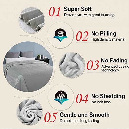 Image of EASELAND Soft Queen Size Blanket Warm Microplush Lightweight Thermal Fleece Blankets for Couch Bed Sofa,90x90 Inches,Silver Gray