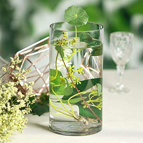 Image of Home Decoration Glass Clear Cylinder Vase Floral Wide Cylinder Glass Vase for Weddings, Events, Decorating, Arrangements, Flowers, Office, or Home Decor (10 Inch, 3)