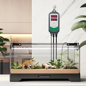 Inkbird ITC-308 Digital Temperature Controller 2-Stage Outlet Thermostat Heating and Cooling Mode Carboy Homebrew Fermenter Greenhouse Terrarium 110V 10A Inkbird ITC 308 Digital Temperature Controller 2 Stage Outlet Thermostat Heating and Cooling Mode Carboy Homebrew Fermenter Greenhouse Terrarium 110V 10A