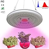 【Full Spektrum & alle Wavelength】--This führte wachsen Licht Set Vollspektrum und alle Wellenlänge trifft alle Entwicklungsstadien für innen-und Außenanlagen, Samen ab, sprießen, wachsen, Blüte und Fruchtbildung.